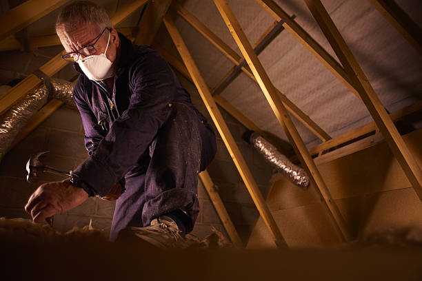 Best Specialized Insulation Services in East Renton Highlands, WA